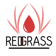 Redgrass Games Logo