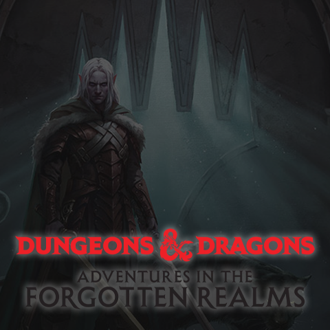 Adventures in the Forgotten Realms