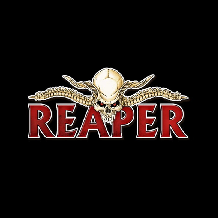 Reaper Miniatures - Not in retail packaging