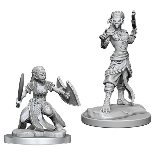 WizKids Shifter Fighter D&D ...