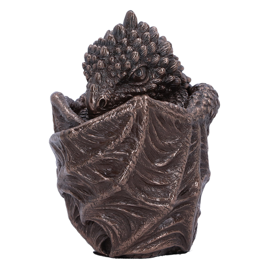 Dragon Snuggle Box with a bronze...