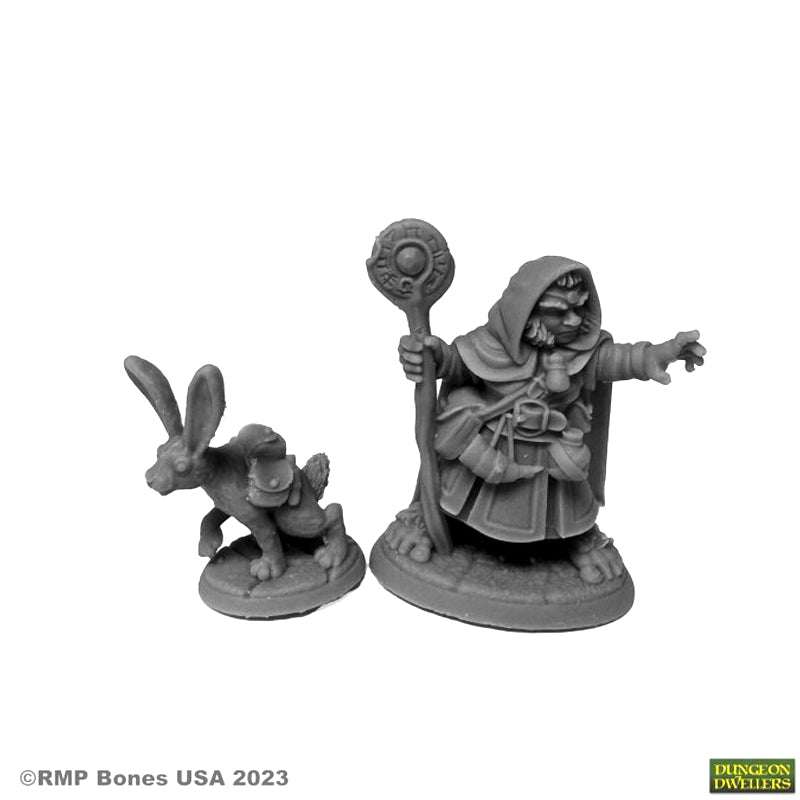 07096 Hollis Grayheath Halfling Druid - Reaper Dungeon Dwellers