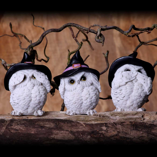 Three Wise Owls Feathered Famili...