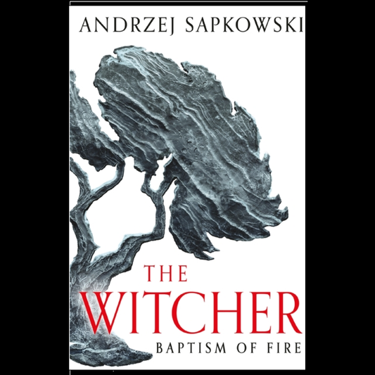 Baptism of Fire: Witcher Book 3 ...