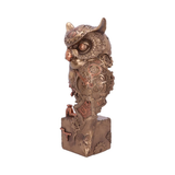 Steampunk Ohm Owl - Nemesis Now