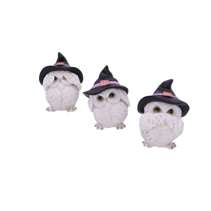 Three Wise Owls Feathered Familiars from Nemesis Now. This hand painted trio of figurines portray Confucius' "See No Evil, Hear No Evil, Speak No Evil" with a unique twist—they are a witches familiar, cute witch hat wearing white owls. 