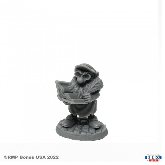 30120 Stubb Gnome Accountant - R...