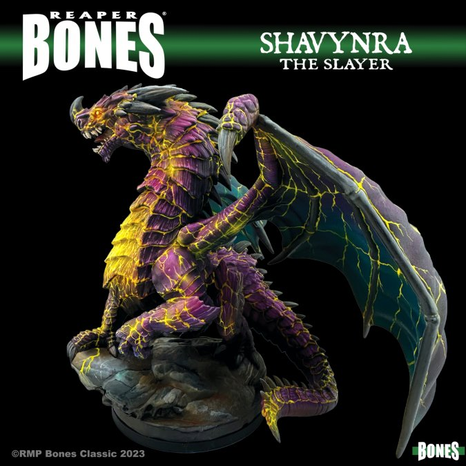 77760 Shavynra The Slayer -  Boxed Reaper Bones