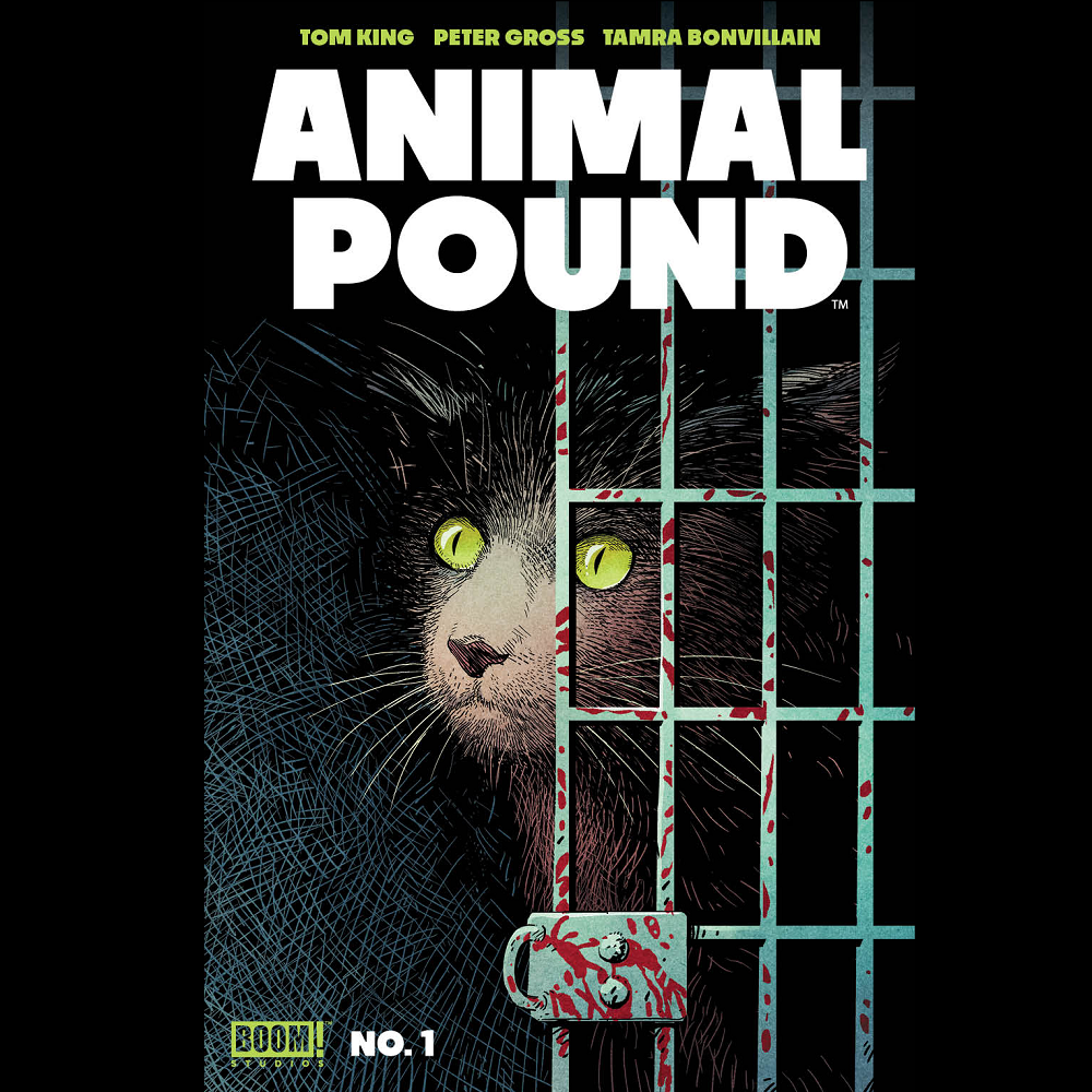 Animal Pound #1 from Boom! Studios by Tom King, Peter Gross and Tamra Bonvillain with cover art A. 