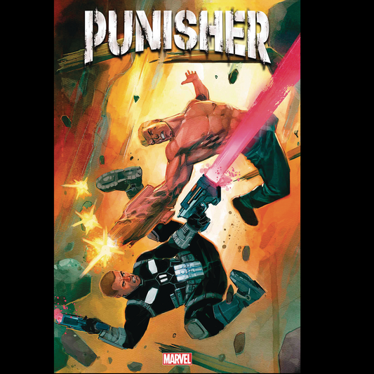 Punisher #2 from Marvel Comics b...