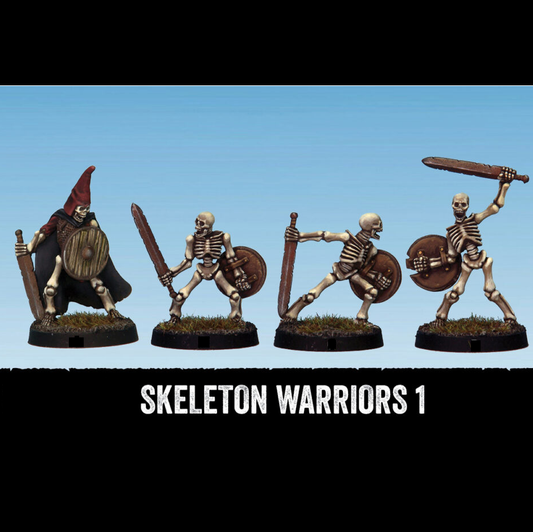 Skeleton Warriors set 1 by Crook...