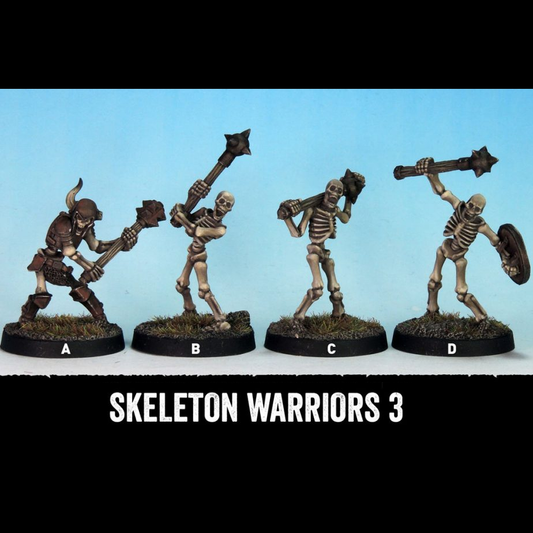 Skeleton Warriors set 3 by Crook...