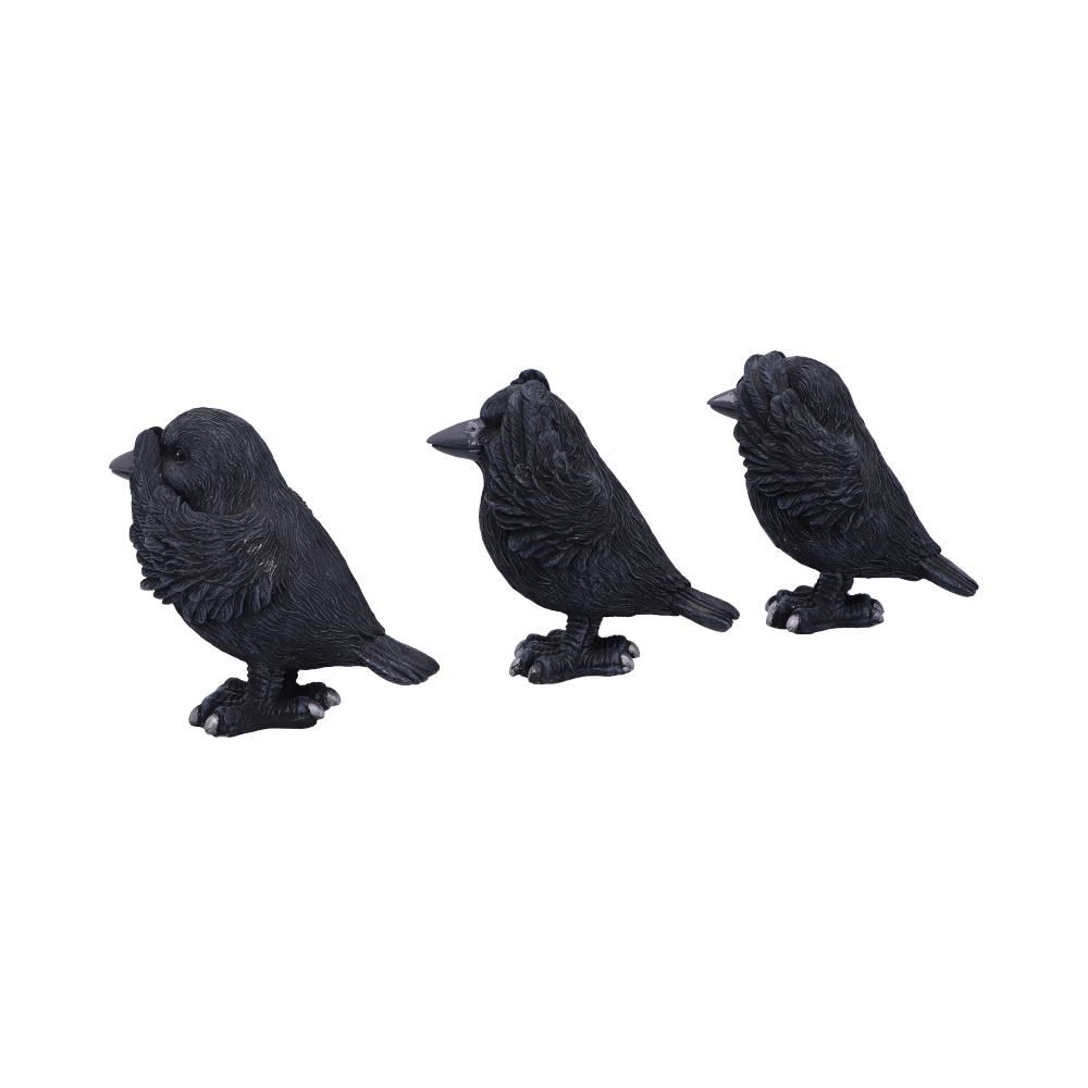 Three Wise Ravens Figurines from Nemesis Now a set of three black ravens depicting the classic See No Evil, Hear No Evil and Speak No Evil poses sculpted individually so you can stand them in any order you like.