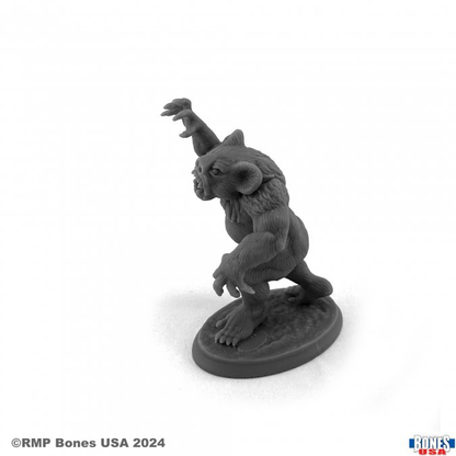 30166 Dropbear by Reaper Miniatures from their Bones USA legends range sculpted by Jason Wiebe for your tabletop gaming needs. A koala bear hybrid style monster in an aggressive pose for your RPG and more