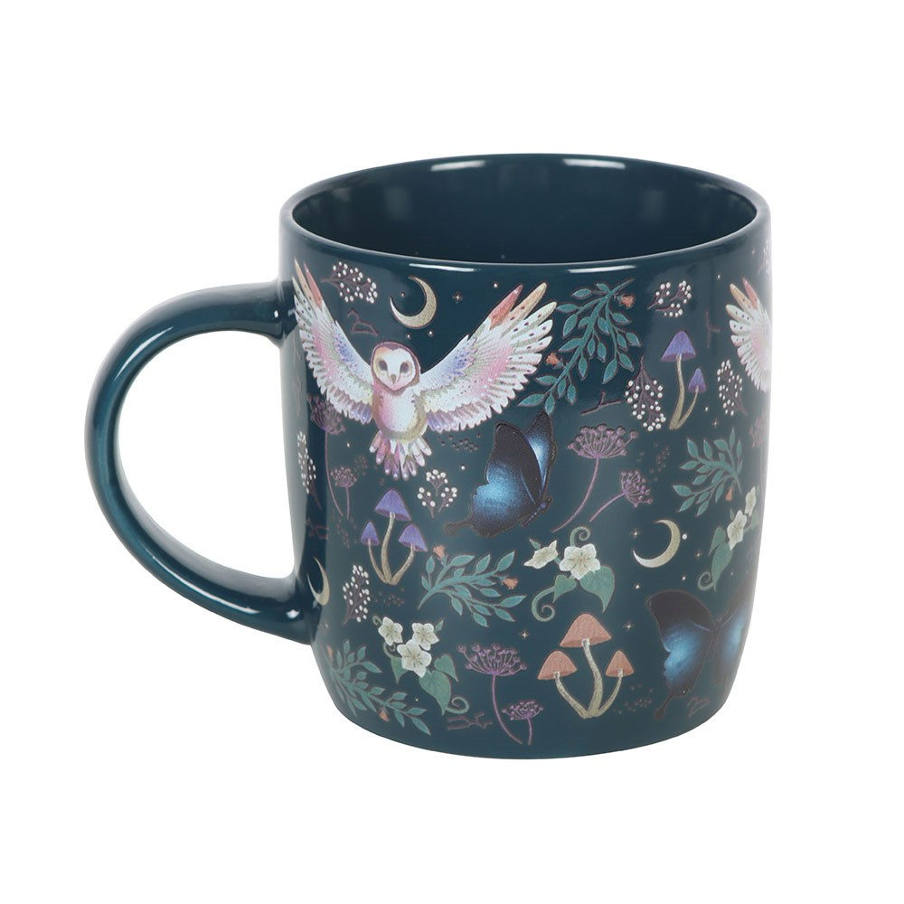 Night Flight Ceramic Mug