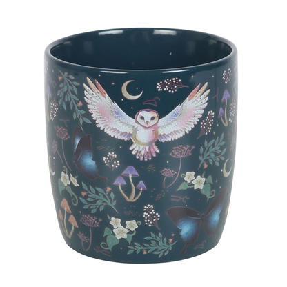 Night Flight Ceramic Mug