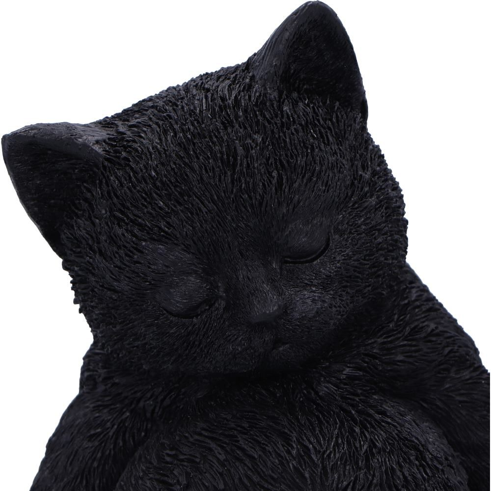 Daydream the sleeping black cat figurines from Nemesis Now an adorable snoozing kitten in a familiar portly tummy and closed eyes sculpt making a wonderful edition to your home or as a gift for a cat loving friend.