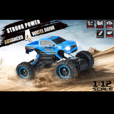 Rock Crawler RC Car | Double E