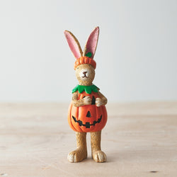 Pumpkin Rabbit Standing. A wonderfully characterful bunny standing straight and wearing a pumpkin costume with the pumpkin body around its own body and the top as a hat making a great edition to your spooky decoration, Halloween tier tray or a gift for a friend.