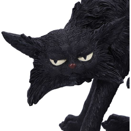 Spite Black Cat Witches Familiar Figure 23.5cm  - Nemesis Now