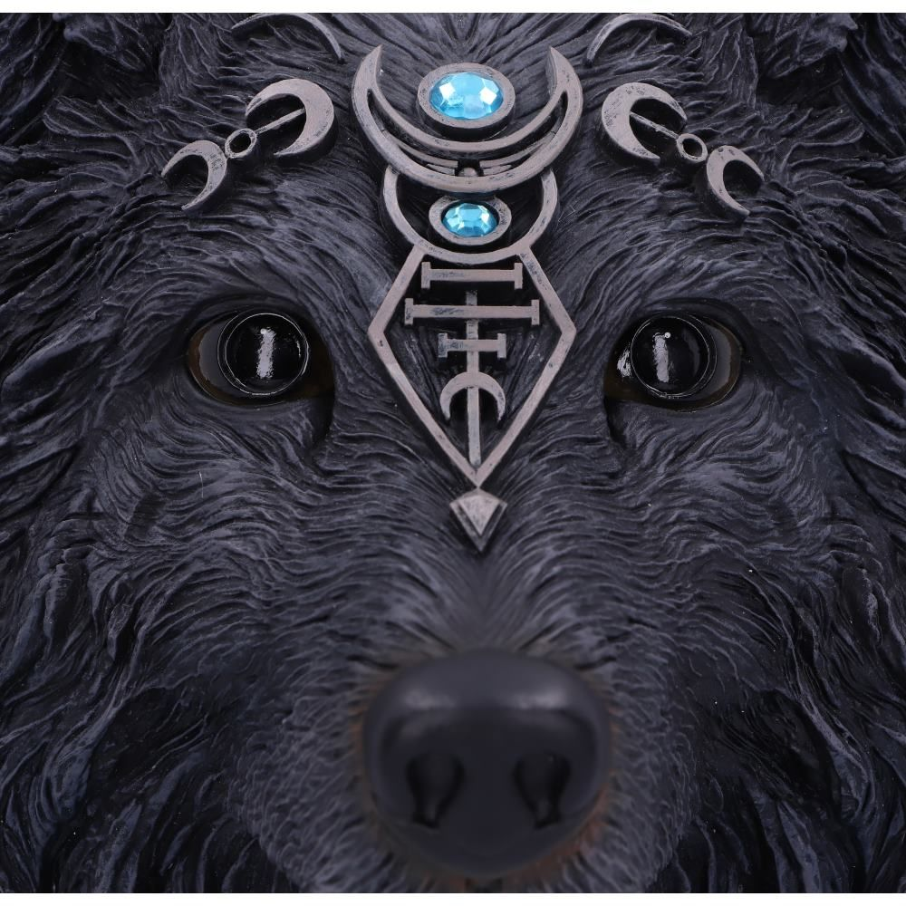 Nemesis Now Wolf Moon Wall Plaque. A hand painted black wolf with forehead jewels and silver detailing