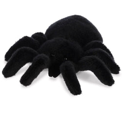 Terantula plushie, this cute arachnid has soft fur and realistic feeling legs great for fidgeting and snuggling