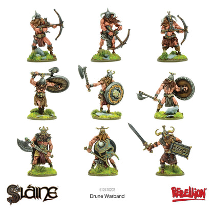 Sláine Drune Warband