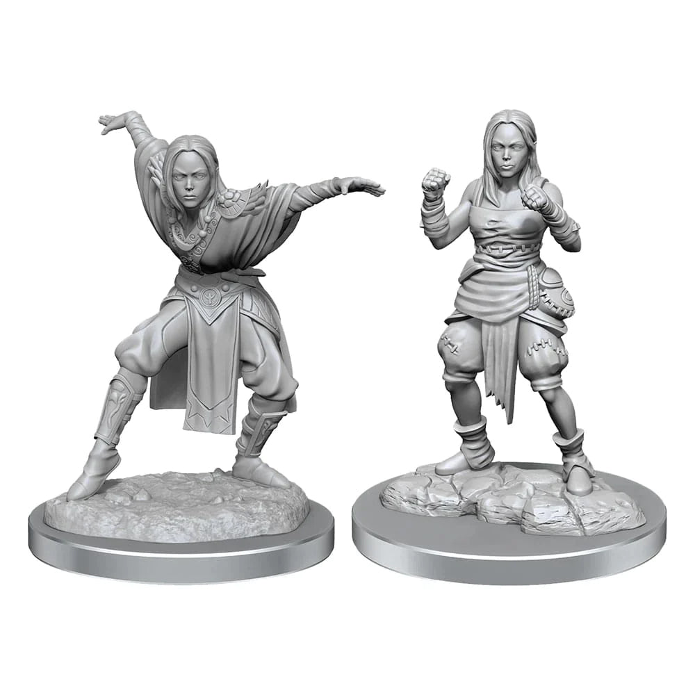 Half-Elf Monk Female Pathfinder Deep Cuts RPG Minis