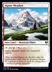 Alpine Meadow #248 MTG Kaldheim Single