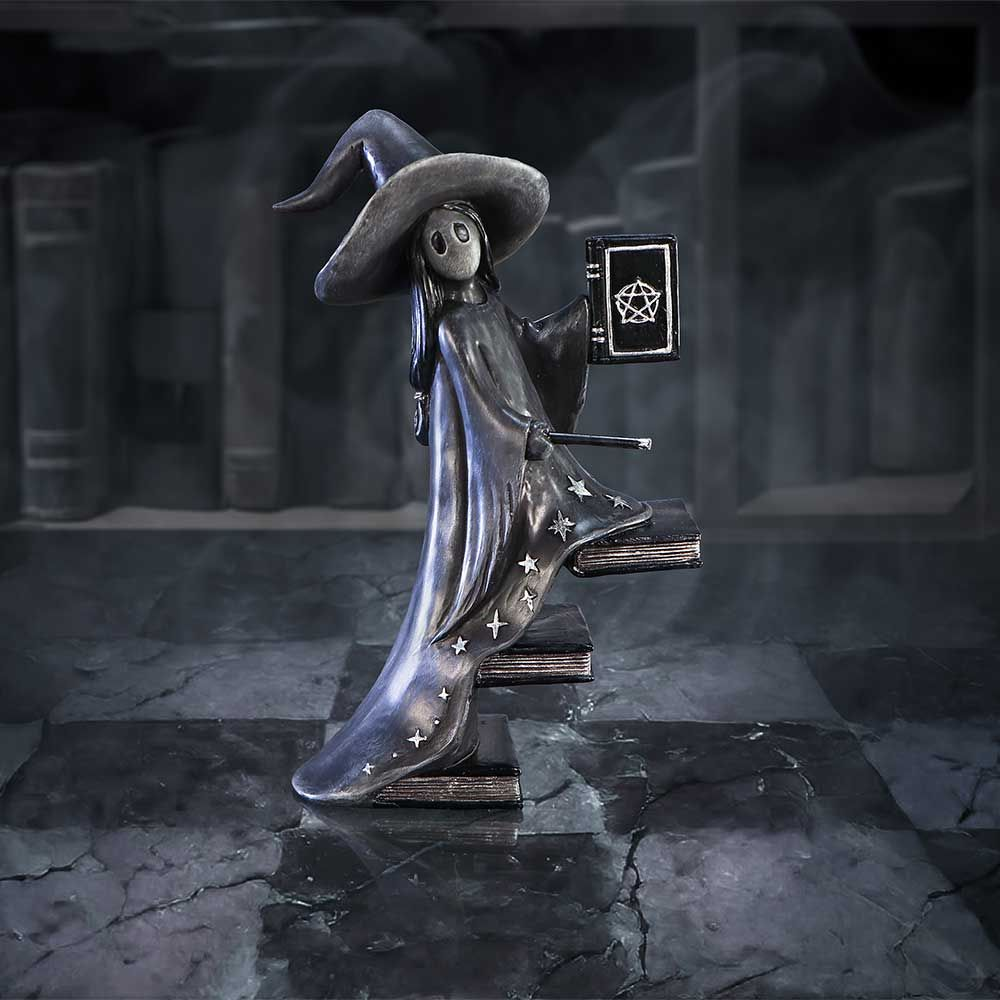 Luna from the Little Souls collection by Nemesis Now. A hand painted figurine of a Witch soul climbing steps of books, holding a book in one hand and a wand in the other, her gown has silver star details adding to this wonderful ornament