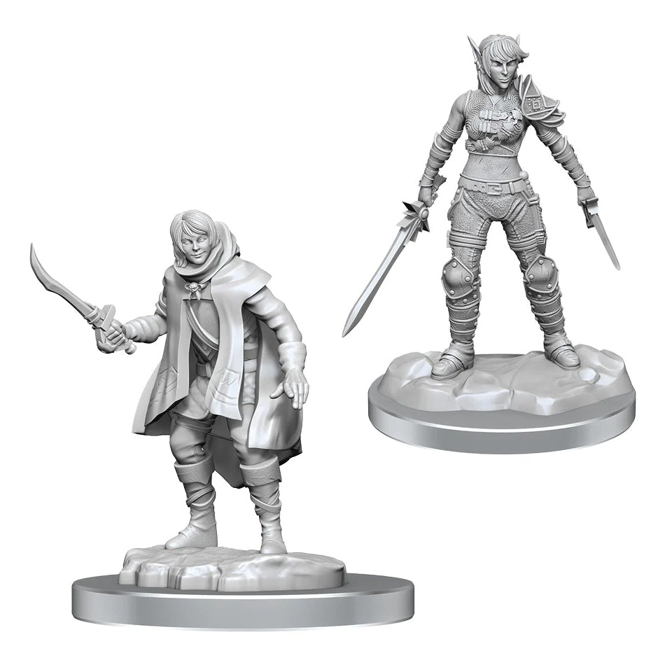 Elf Rogue & Half-Elf Rogue Protégé D&D Nolzur’s Marvelous Miniatures