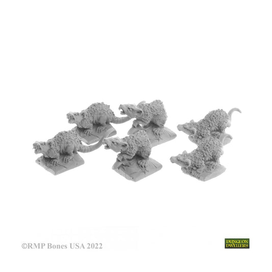 07031 Giant Tomb Rats Bones USA ...