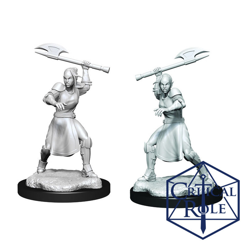 Half-Elf Echo Knight & Echo - Critical Role Minis