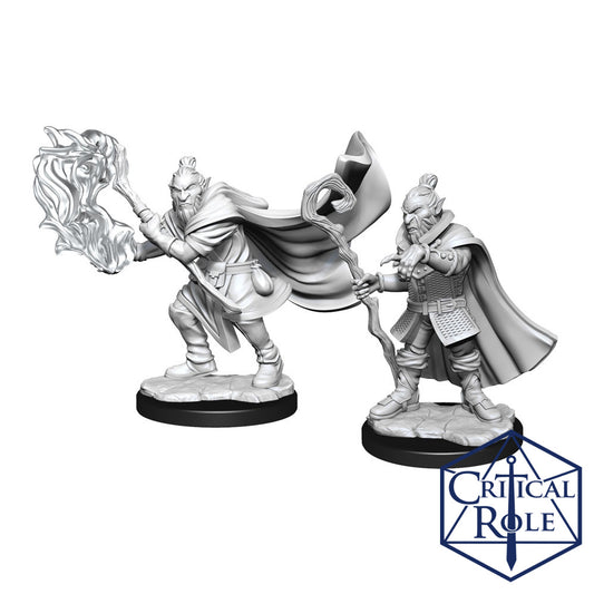 Hobgoblin Wizard & Druid - C...