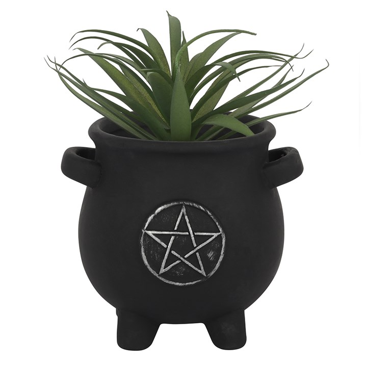 black terracotta cauldron shaped pot adorned with a silver pentagram and a green plant in it