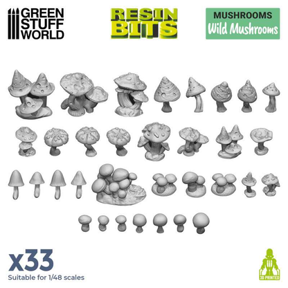 Green Stuff World resin Wild Mushrooms in a 1/48 scale