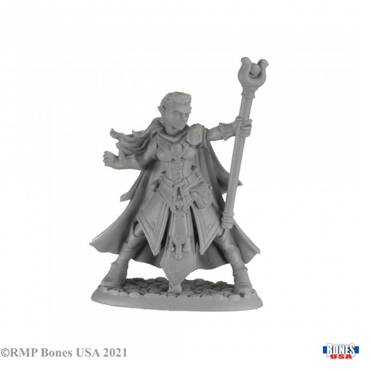 Reaper miniatures 30008 alaedril...