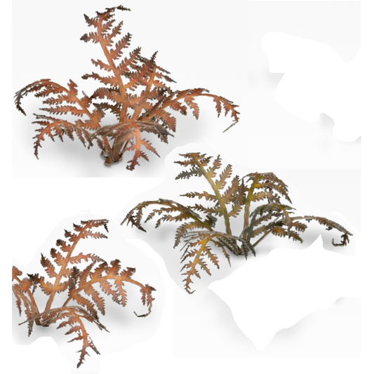 Dry Bracken by Gamers Grass 