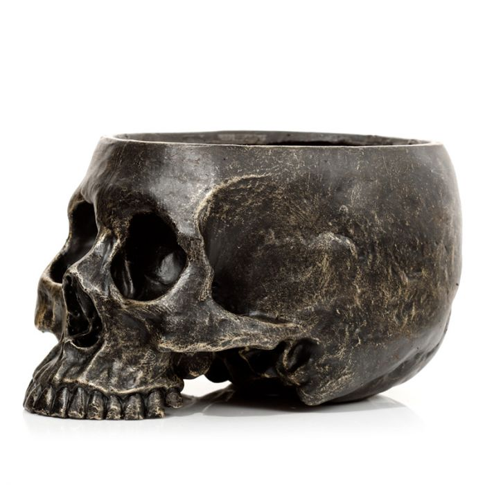 Skull Plant Pot