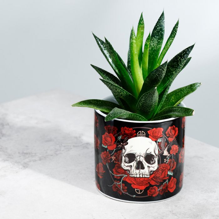 Small Planter - Skulls & Roses