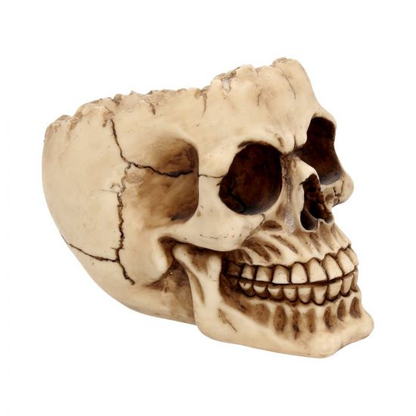 Lobo Skull Ornament 14.5cm