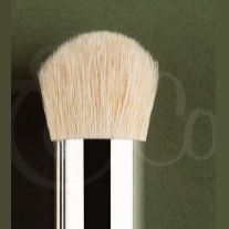 Model dry brush in extra large b...