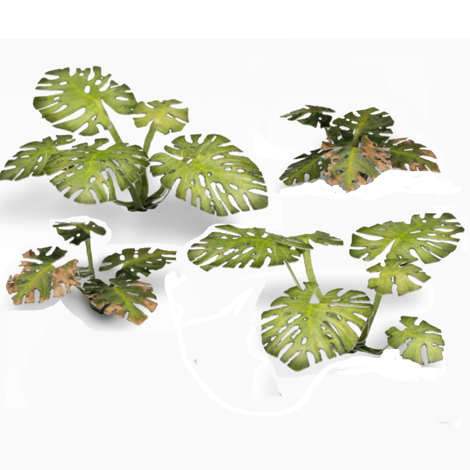 Monstera by Gamers Grass represent a Mexican plant normally found in tropical climates which you can use to decorate your gaming table, diorama, miniatures and more to create rainforests , indoor plants and more