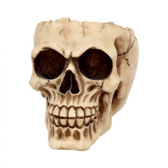 Lobo Skull Ornament 14.5cm