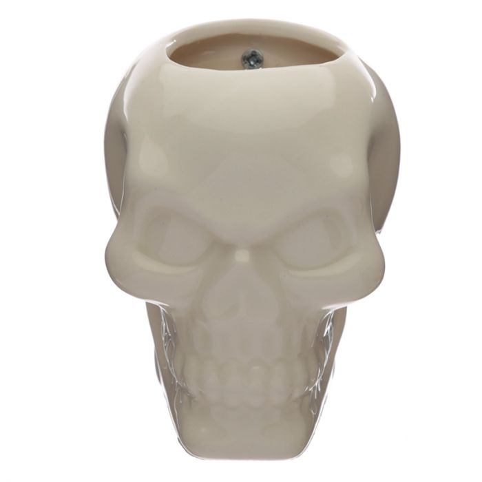 Skull Wall Planter - Face Plants