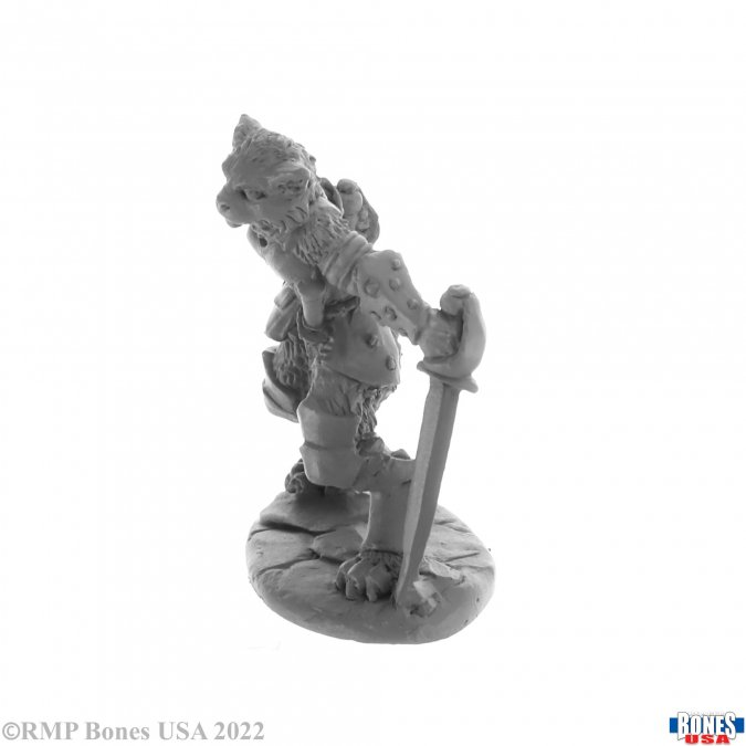 30059 Catfolk Rogue Shadoweyes -Bones USA