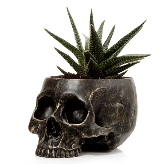 Skull Plant Pot