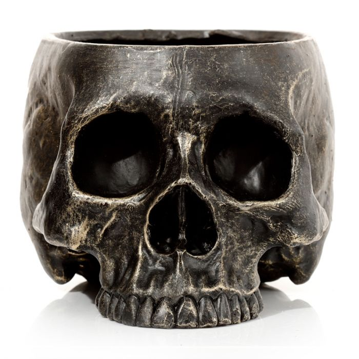 Skull Plant Pot