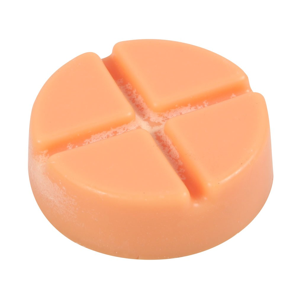 Spiced Pumpkin Soy Wax Melt Snap Disc