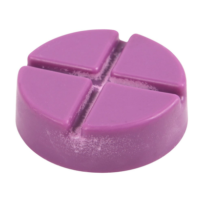 Witching Hour Soy Wax Melt Snap Disc